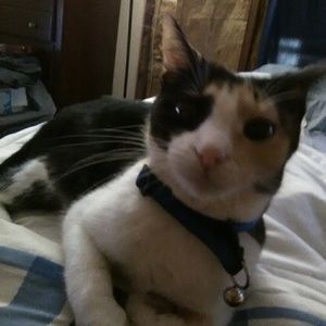 Meet your Posher, Marta